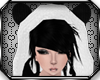 *D Panda Hoodie Hat