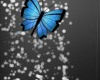 pants butterfly