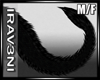 [R] DragonTail Blk/Black
