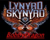 Lynyrd Skynyrd.StageLSon