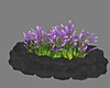 Round Flowerbed