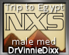 Trip to Egypt M-M