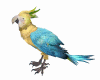 Tropical Parrot 2