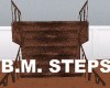 B.M. STEPS