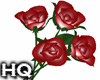 Roses / Pose