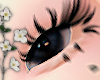 ! babydoll lashes