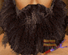 G* Brown Long Beard