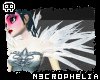 [n3] Glam feathers (m/f)