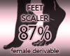 Foot Scale Resizer 87%