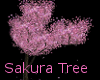 (VS) Sakura Tree