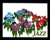 Jazzie,Garden Flowers 2