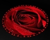 RED PASSION  ROSE RUG