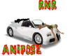 ~RnR~BLACK ROSE POSE CAR