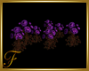 F: Flowers