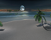 beach vacation