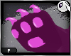 ~Dc) Dainty F Paws [PnK]