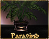 P9)Decorated Fern Plant