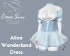 Alice Wonderland Dress