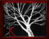 Sk.Dark Tree Tshirt