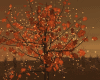 Autumn  Tree