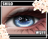 Prague Eyes~SW