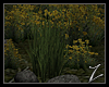 Z | Flowerpatch  yellows