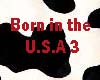 Born in the USA 3