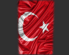 TURKISH FLAG CUTOUT