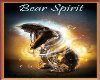 bear spirit