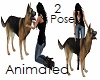 Dog Animated 2 Poses