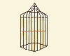 Empty Bird Cage