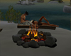 Campfire of the Rock