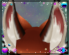 Renard | Ears