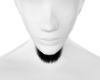 PAX Smal beard |black