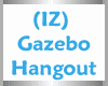 (IZ) Gazebo Hangout