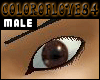  *CW* Real Brown eye 1