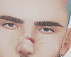 Lientk brows