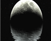 Starlit Moon Dance