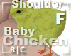 R|C Baby Chick Yellow F