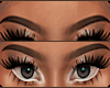 Soft Brows