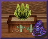 Western Cactus Plant 2