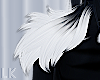 LK - Dark Crescent Fur S