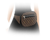 LV Fanny Pack