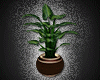 Back To School Plant 3