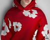 ∆ DT. Hoodie