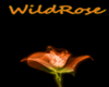 Wildrose