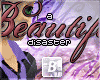 b| A Beautiful Disaster