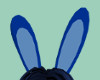 BBerry Bunny Ears (M)/SP