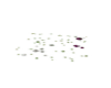 MT Plant grass
