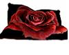 Red Rose Beanbag Pillow
